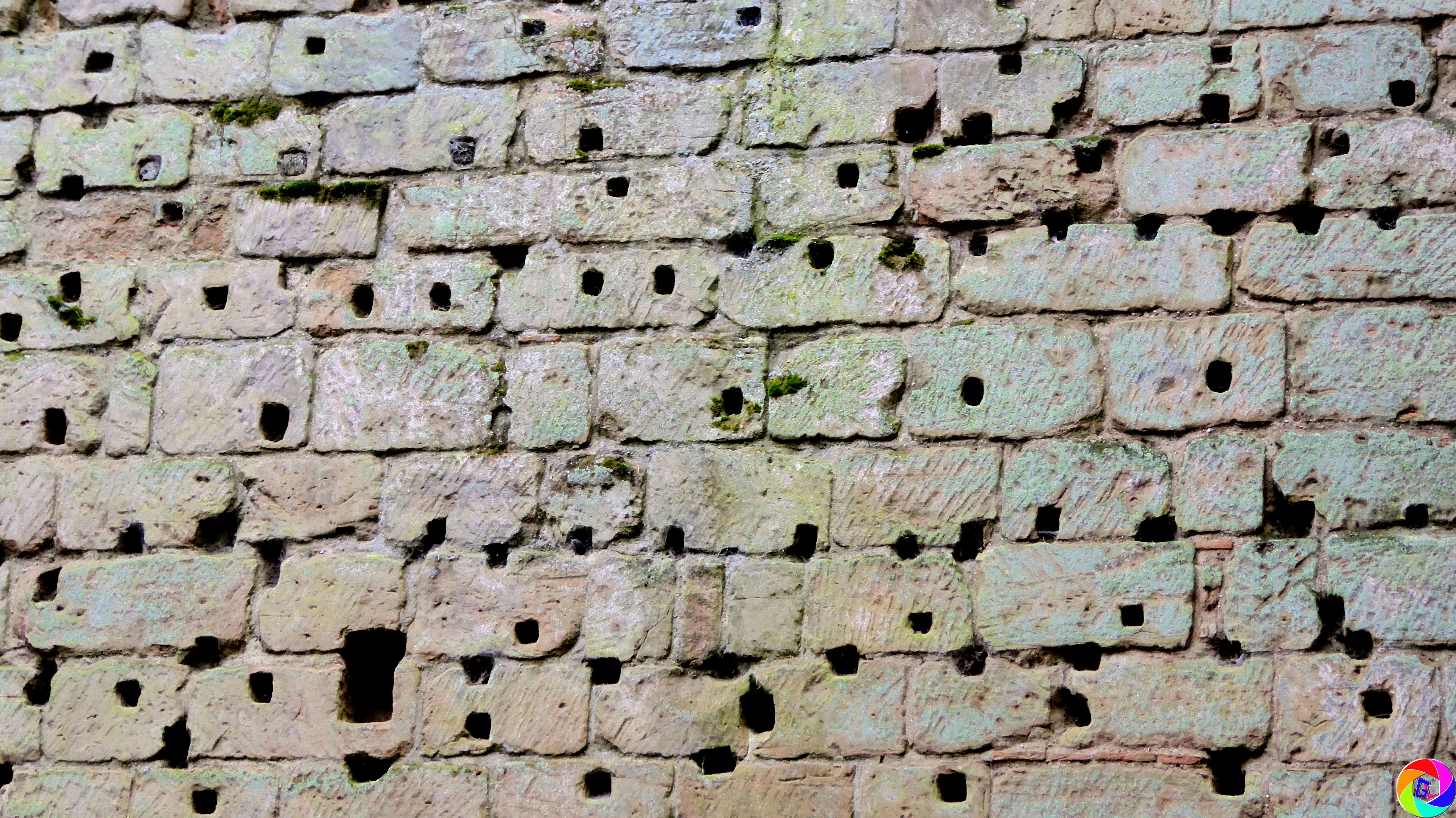 Holes in wall where friezes and other hangings were attached
